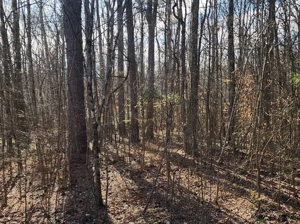 895 Hyatt Rd, Camden, TN 38320