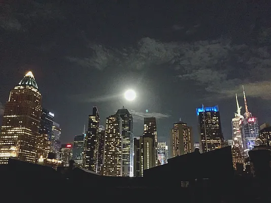 Rented by Owner | media 17