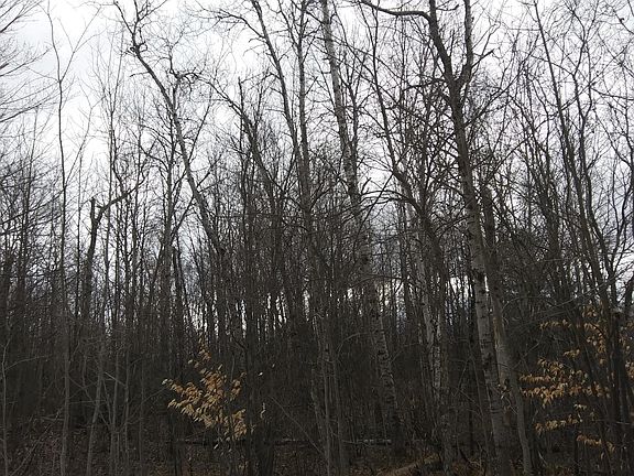5th image of Sunridge Dr