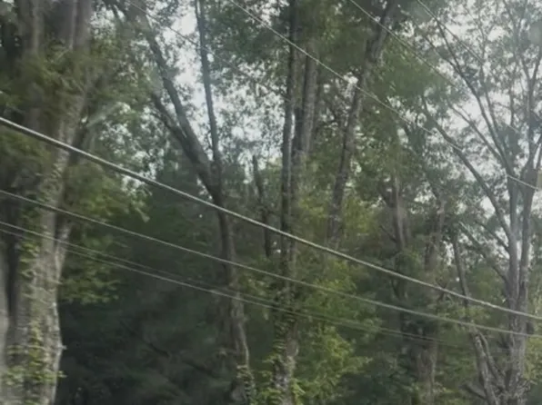 1209 Reed Rd, Anderson, SC 29621