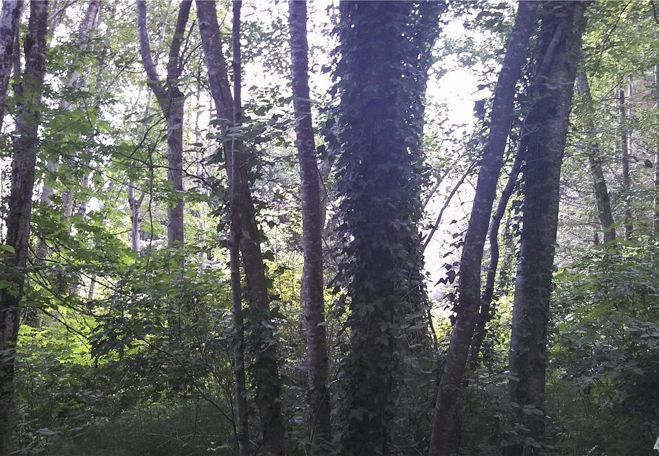 1st image of 4010 87th Ave NW