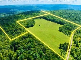 Schlafer Rd Lot 22, Bainbridge, NY 13733