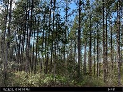 0 Douglas Hwy, Waycross, GA, 31503