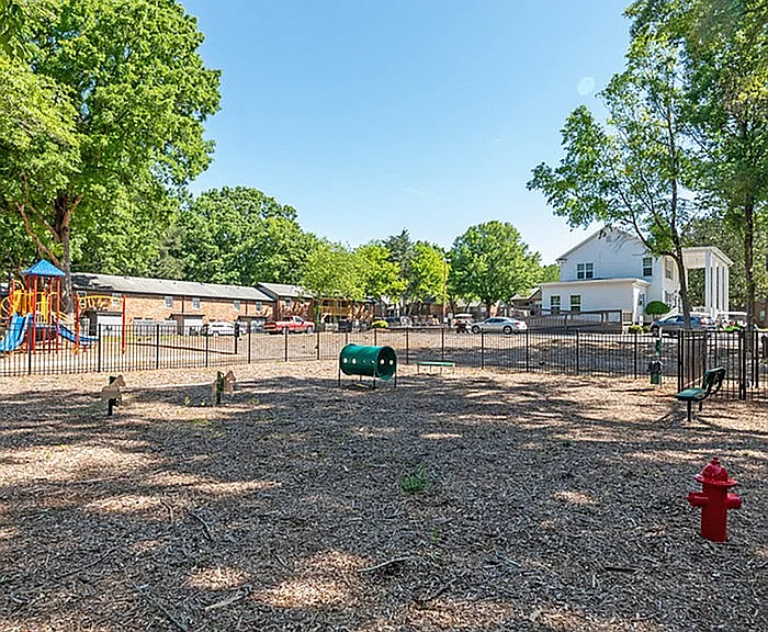 Explore our charming playground, perfect for families and outdoor fun.