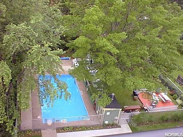 Outdoor pool& Picnic area