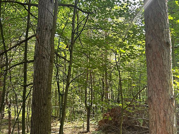 5th image of LOT 8 Pond Rd