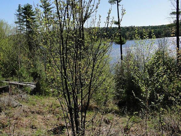 3rd image of 8 McPhillips Pine Ln