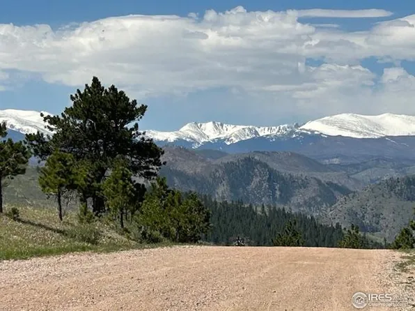 80 Little Bald Mountain Ct, Livermore, CO 80536