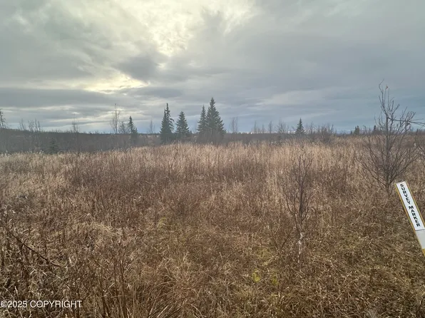 4 Wells St, Ninilchik, AK 99639