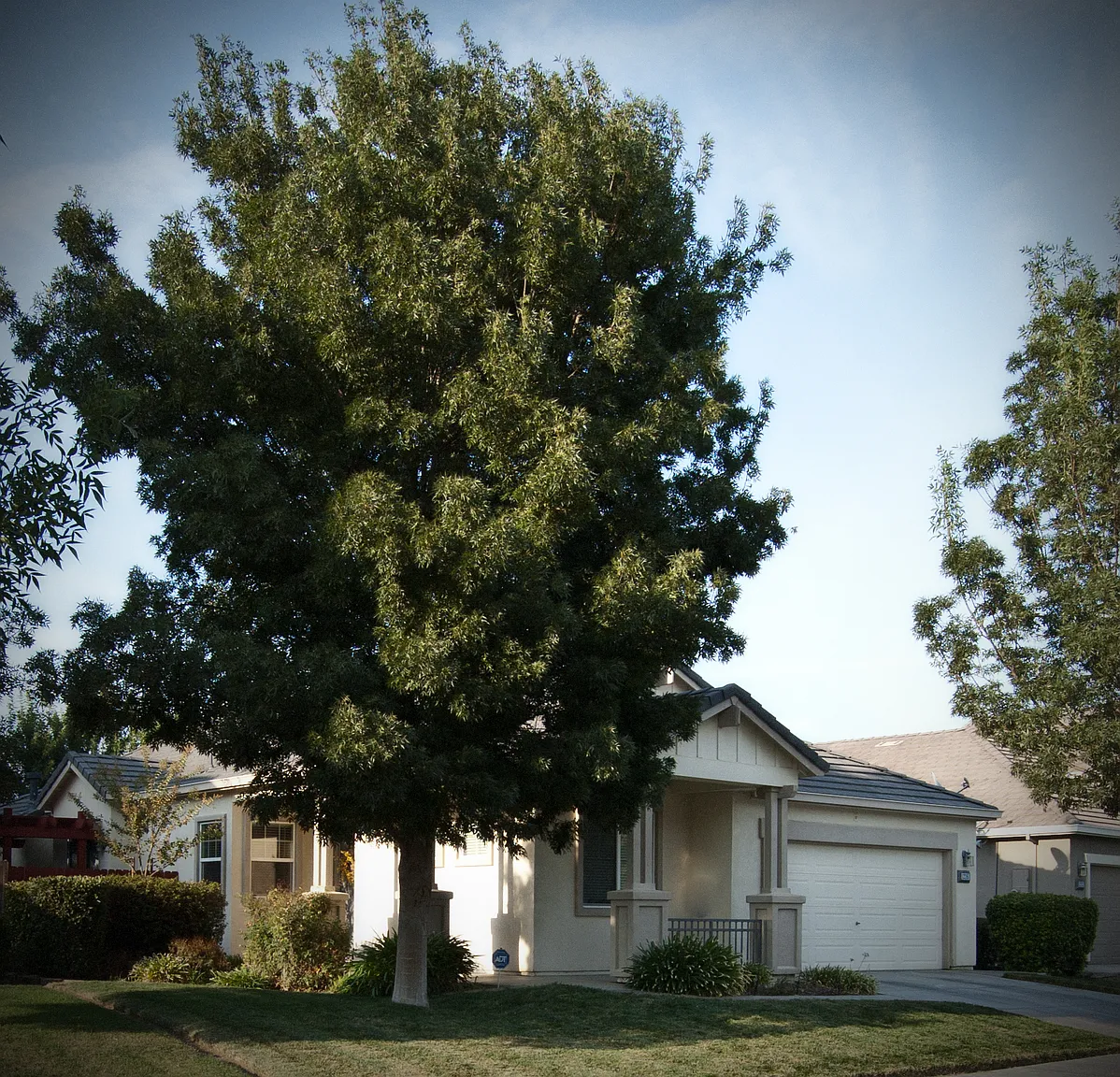 1216 Bluegrass Ct photo 1