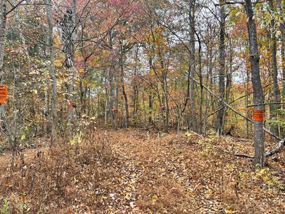 1 Pitts Gap Mountain Rd, Pikeville, TN, 37367