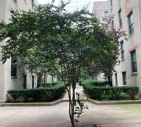 4th image of 21-15 33rd St #2DD