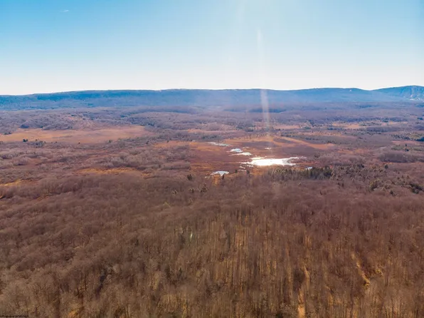 7 Heights Rd, Davis, WV 26260