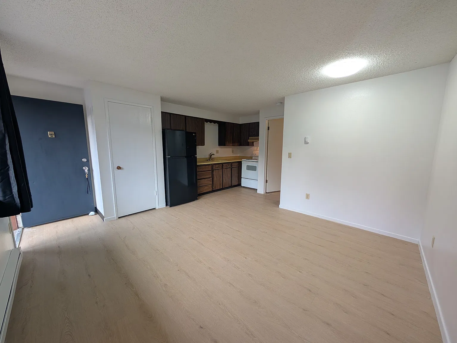 1 bed, 413 sqft, $875 — Photo 4