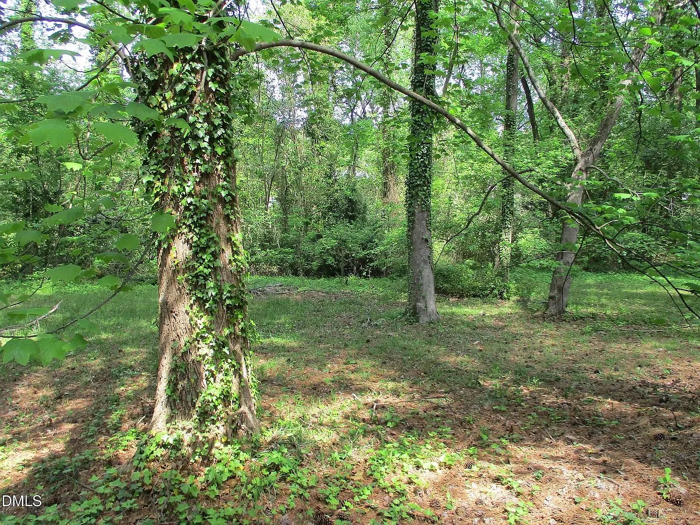 Room in 3 Bedroom Home in Raleigh — Photo 4