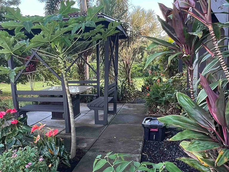 Outdoor sitting area and garden path with lush tropical plantings