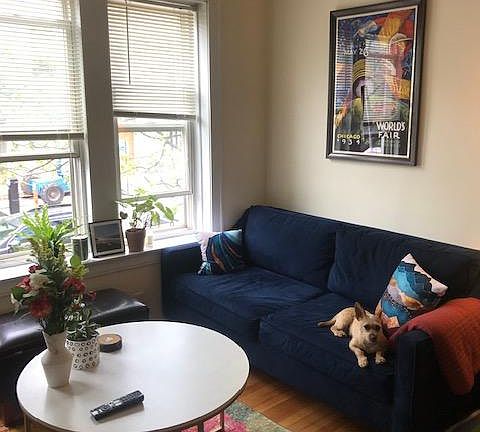 Living room (pooch not included!)