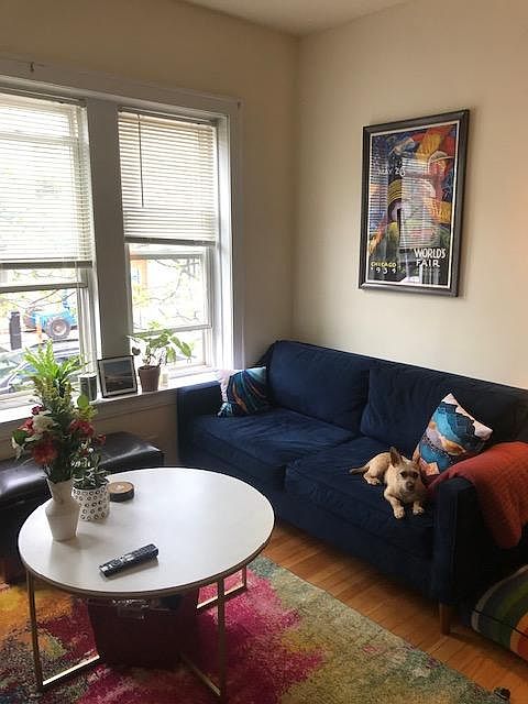 Living room (pooch not included!)