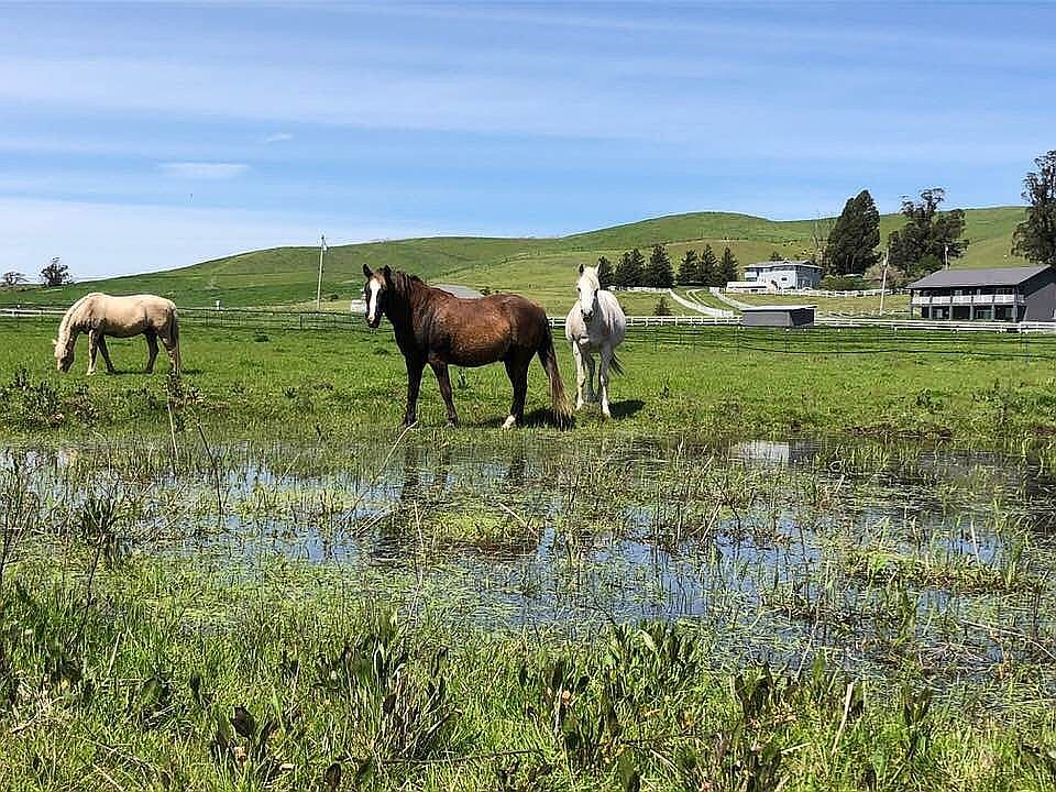 Pasture, Pond & Home (right)