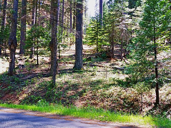 3rd image of 1636 Coniferous Dr