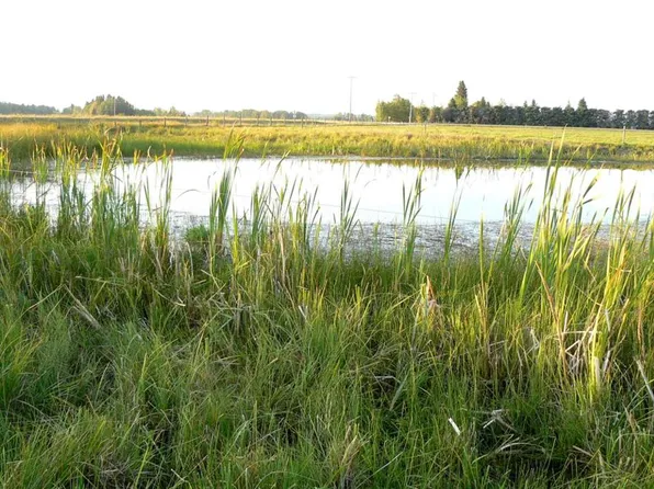 394075 Range Road 5, Clearwater County, AB T0M 1H0