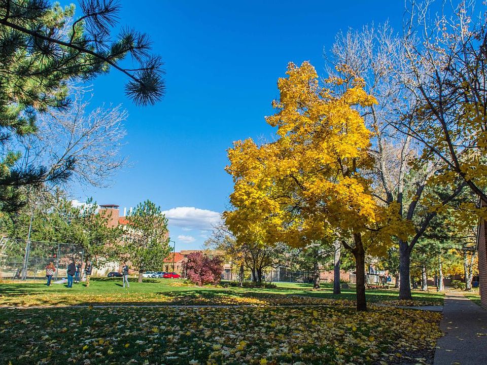 Community Open space