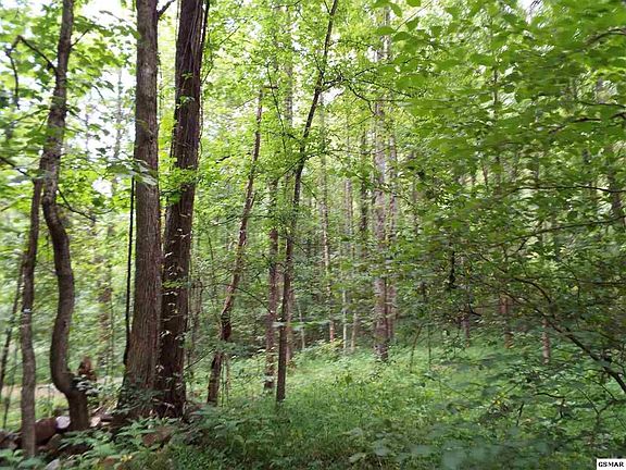 3rd image of 653 Timber Lake Dr