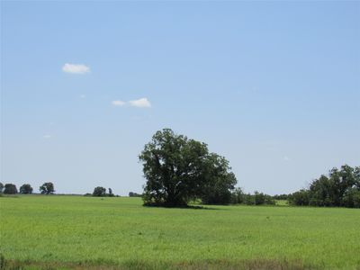 County Road 295, Carbon, TX, 76435