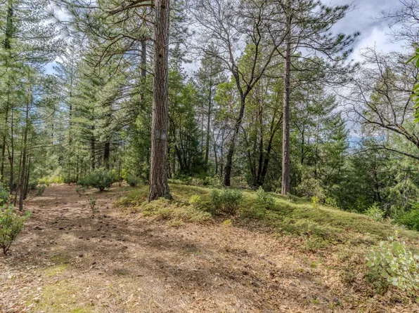 Volcano Trl, Pioneer, CA 95666