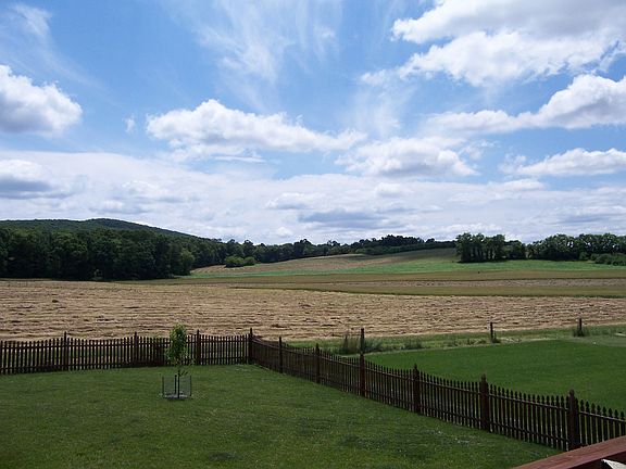 view of preserved land