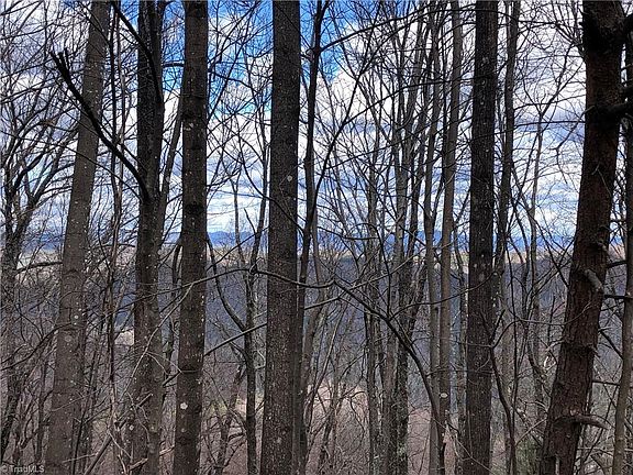 4th image of 21 Bobcat Mountain Rd Lot 21