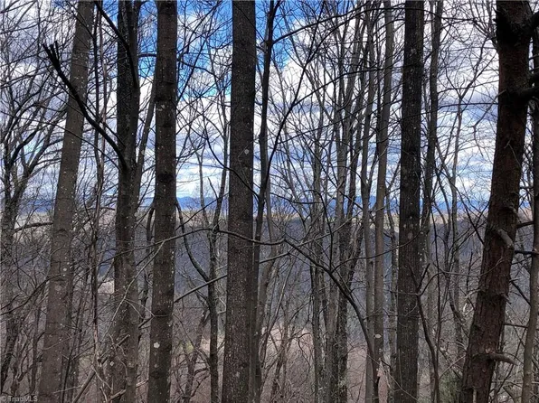 21 Bobcat Mountain Rd Lot 21, Purlear, NC 28665