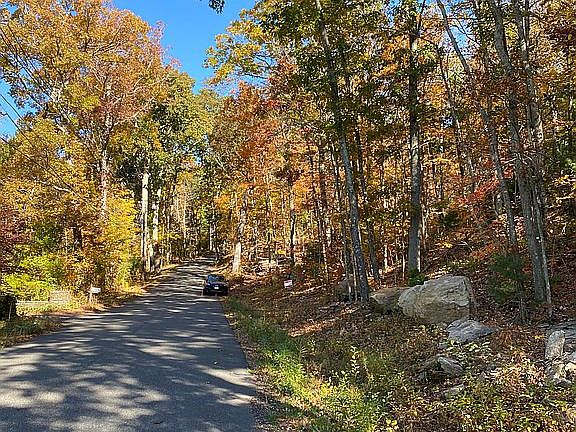 Peaceful scenic road