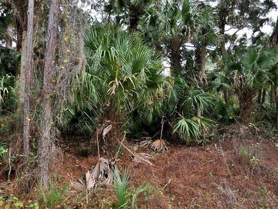 Daphne Rd LOT 5, North Pt, FL, 34288