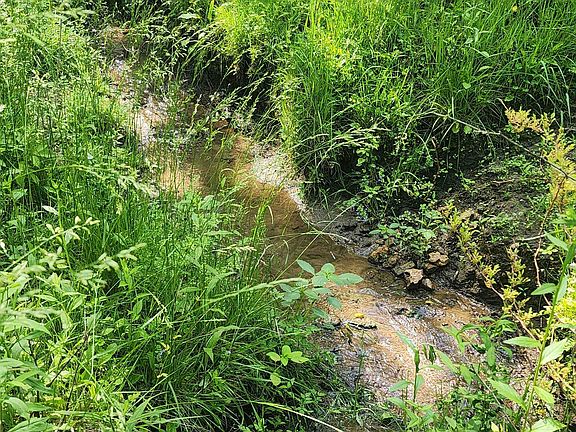 5th image of 0 Short Cut Rd