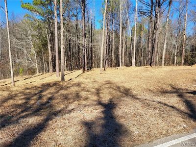 0 Northside Rd, Northport, AL, 35475