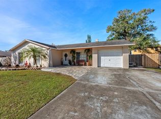 6550 Spanish Moss Cir, Tampa, FL 33625