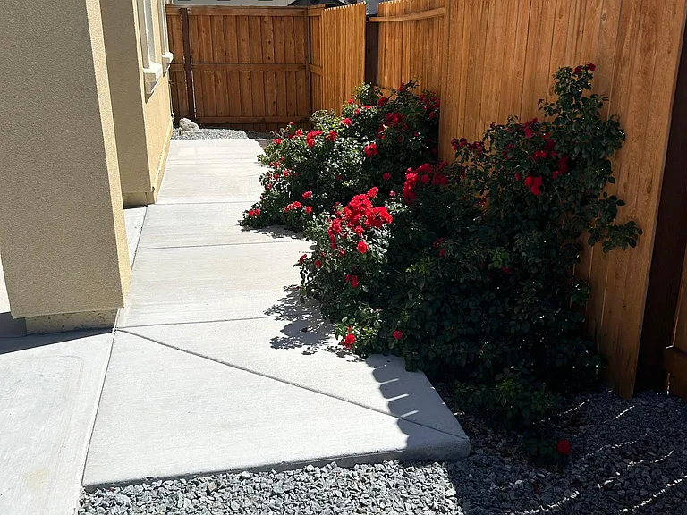 3281 Pantheon Dr — Photo 23