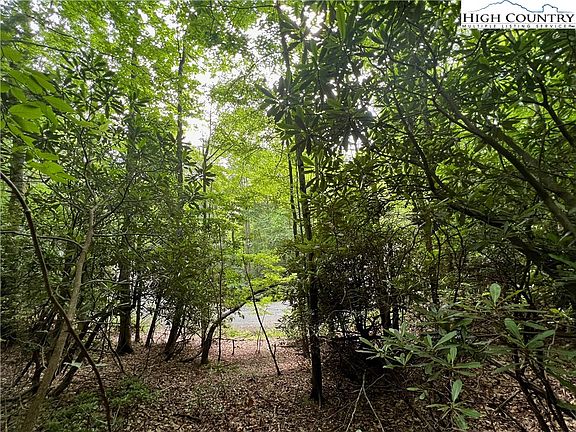 3rd image of 268 Poplar Drive