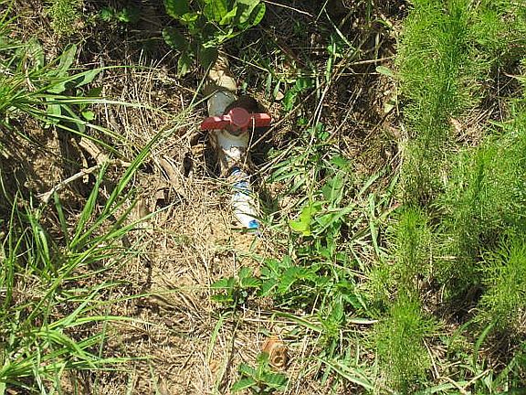 3rd image of 1370 Sandy Creek Dr