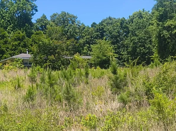 662 High Pine Rd, Ashland, AL 36251