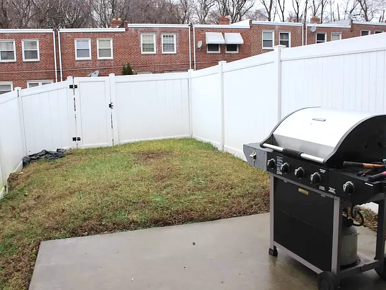 back yard