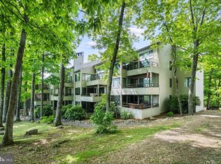 312 Dobie, Wintergreen Resort, VA 22967