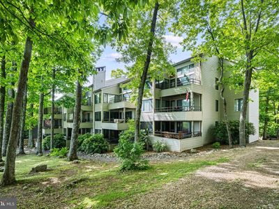 312 Dobie, Wintergreen Resort, VA, 22967