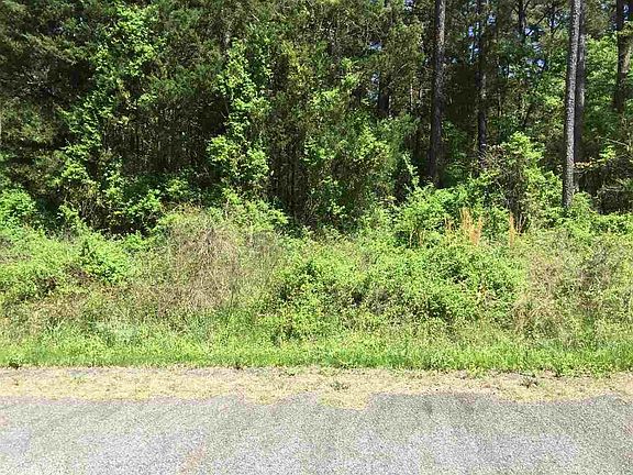 5th image of 305 Creekside Dr