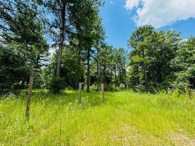 42 Bill Dier Rd, Tylertown, MS, 39667