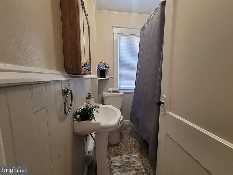 537 N Loudoun St #3 — Photo 19