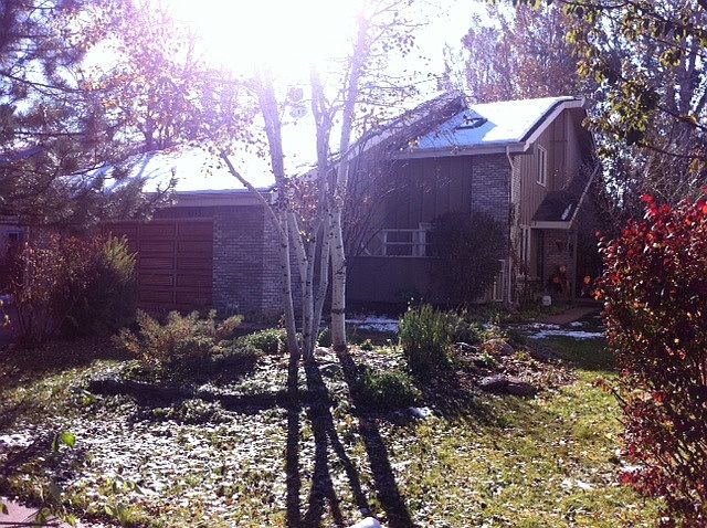 Front of house