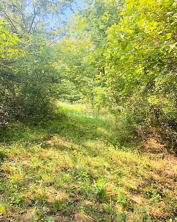 Black Oak Rd, Fayetteville, AR 72701 Zillow