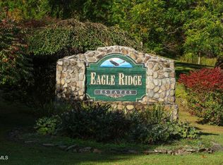 Tbd Eagle Ridge Rd, Roan Mountain, TN 37687